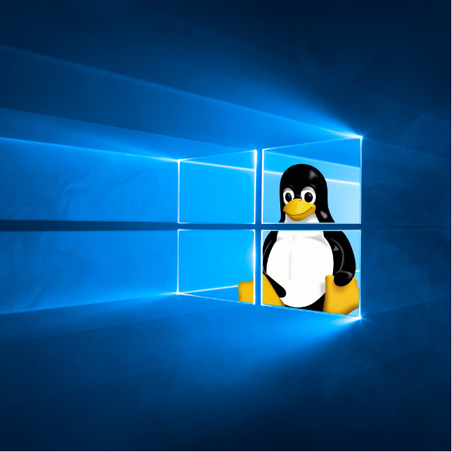 Uploaded avatar of RSCyberTech