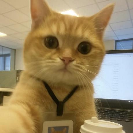 A(z) Ton felhasználó által feltöltött avatar