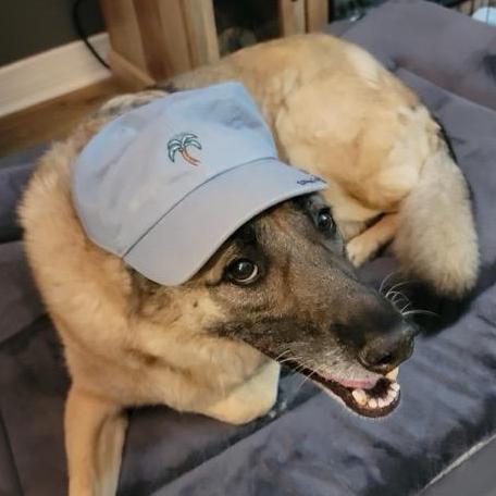 A(z) TechnicallyJacob felhasználó által feltöltött avatar