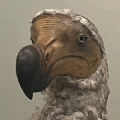 A(z) chianru felhasználó által feltöltött avatar