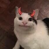 A(z)  キャンディの神 felhasználó által feltöltött avatar